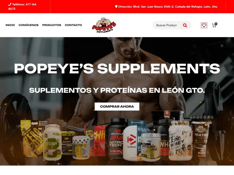 diseñadores web aguascalientes